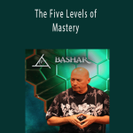 Bashar - The Five Levels of Mastery