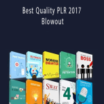 Best Quality PLR 2017 Blowout