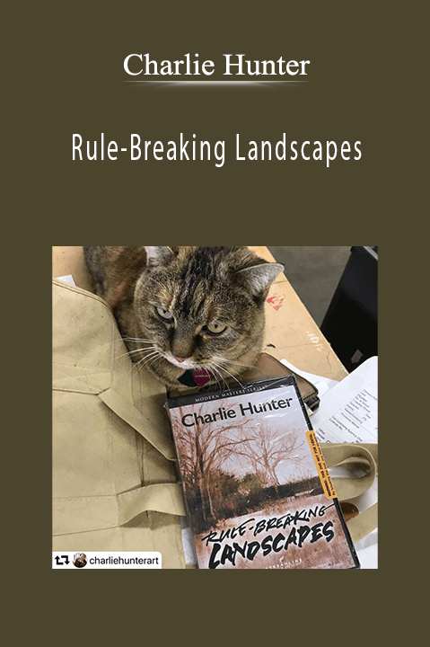 Charlie Hunter - Rule-Breaking Landscapes.