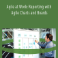 Doug Rose - Agile at Work: Reporting with Agile Charts and Boards