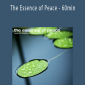 Enlightenedaudio - The Essence of Peace - 60min.