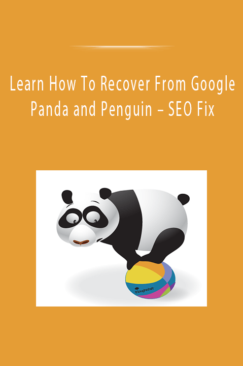 Learn How To Recover From Google Panda and Penguin – SEO Fix