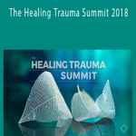 The Healing Trauma Summit 2018