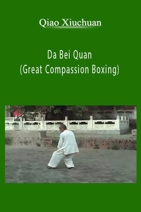 Da Bei Quan (Great Compassion Boxing) - Qiao Xiuchuan