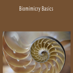 Denise K. DeLuca PE - Biomimicry Basics