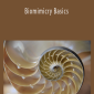 Denise K. DeLuca PE - Biomimicry Basics