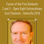 Michael Winn - Fusion of the Five Elements 2 and 3 - Open Eight Extraordinary Soul Channels - Asheville 2018.