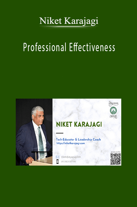 Niket Karajagi - Professional Effectiveness