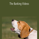 John Delavera - The Barking Videos