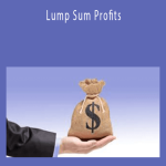 Ryan Moran - Lump Sum Profits