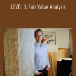 Anders Petterson - LEVEL 3 Fair Value AnalysisAnders Petterson - LEVEL 3 Fair Value Analysis