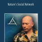 Bashar - Nature's Social Network