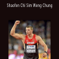 Andreas Hoffman - Shaofen Chi Sim Weng Chung.