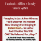 Facebook + Offline = Sneaky Search System