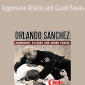 Orlando Sanchez - Aggressive Attacks and Guard Passes