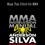 Anderson Silva - Muay Thai Clinch For MMA.