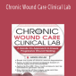 Chronic Wound Care Clinical Lab A Hands-On Approach to Ensure Progressive Wound Healing - Cheryl Aaron.