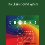DAVID ISON - The Chakra Sound System.