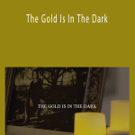 Debbie Ford - The Gold Is In The Dark