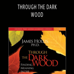 James Hollis - THROUGH THE DARK WOOD