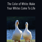 Cheri Christensen The Color of White Make Your Whites Come To Life.
