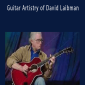 David Laibman - Guitar Artistry of David Laibman.