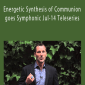 Dr. Dain Heer - Energetic Synthesis of Communion goes Symphonic Jul-14 Teleseries
