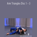 Ryan Hall – Arm Triangles Disc 1 – 3
