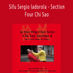 Wing Tjun - Sifu Sergio Iadorola - Section Four Chi Sao