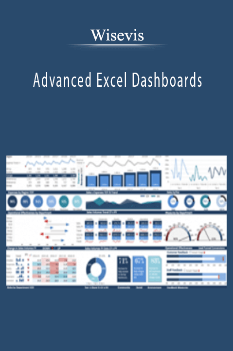Wisevis - Advanced Excel Dashboards