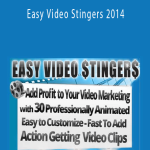 Easy Video Stingers 2014