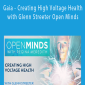 Gaia - Creating High Voltage Health with Glenn Streeter Open Minds with Regina Meredith.