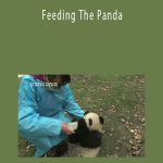 Mike & Troy - Feeding The Panda
