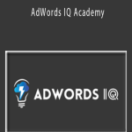 Caitlin Schlichting - AdWords IQ Academy.
