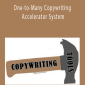 Dave Dee - One-to-Many Copywriting Accelerator System