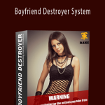 Derek Rake - Boyfriend Destroyer System