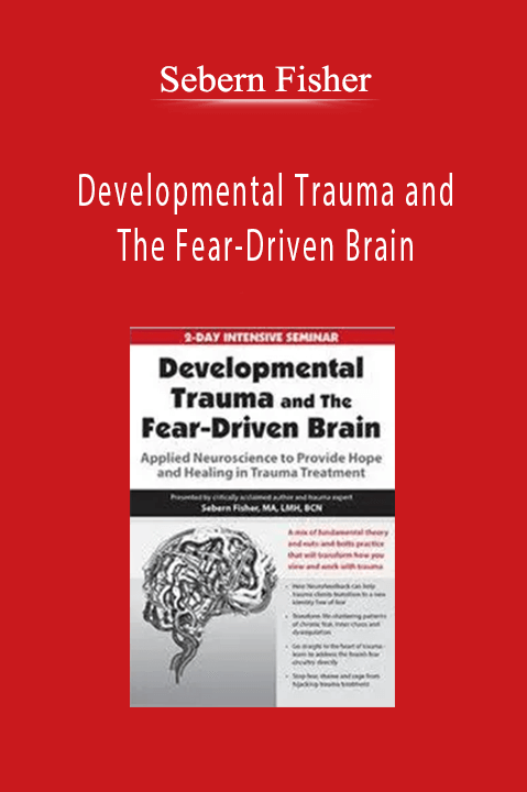 Developmental Trauma and The Fear-Driven Brain: Applied Neuroscience to Provide Hope and Healing in Trauma Treatment - Sebern Fisher