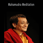 Dzogchen Ponlop Rinpoche - Mahamudra Meditation