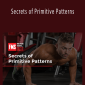 Gray Cook - Secrets of Primitive Patterns