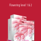Holosync - Flowering level 1 & 2