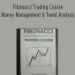 Joe DiNapoli - Fibonacci Trading Course - Money Management & Trend Analysis