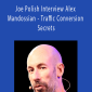 Joe Polish Interview Alex Mandossian - Traffic Conversion Secrets