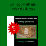 John Overdurf - Splitting Synesthesias within the Rhizome