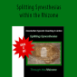 John Overdurf - Splitting Synesthesias within the Rhizome