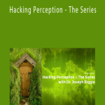 Joseph Riggio - Hacking Perception - The Series