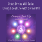 Orin - Orin's Divine Will Series: Living a Soul Life with Divine Will