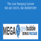 Rachel Rofe - The Low Hanging System - NO AD COSTS, NO INVENTORY