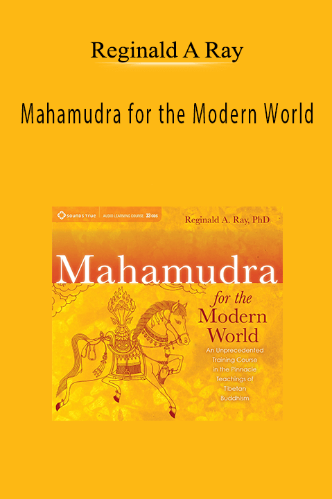Reginald A Ray - Mahamudra for the Modern World