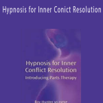 Roy Hunter - Hypnosis for Inner Conict Resolution
