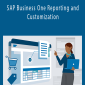 SAP Business One Reporting and Customization